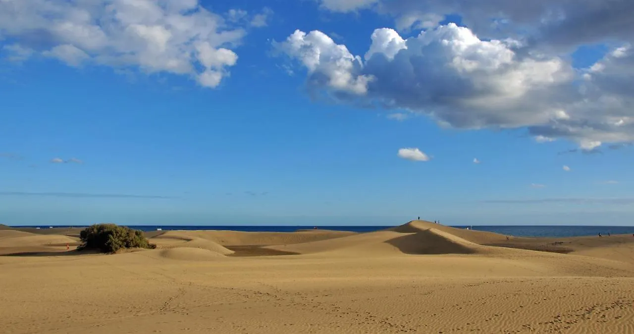 Cozy Colorado Pool View #3 Apartment Maspalomas